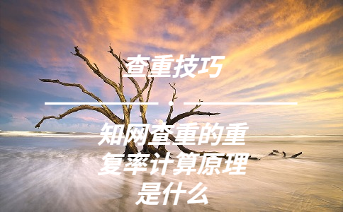 學術查重的重復率計算原理是什么