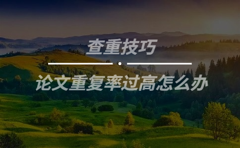  論文重復率過高怎么辦