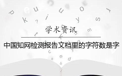 中國學術檢測報告文檔里的字符數是字符還是字符數
